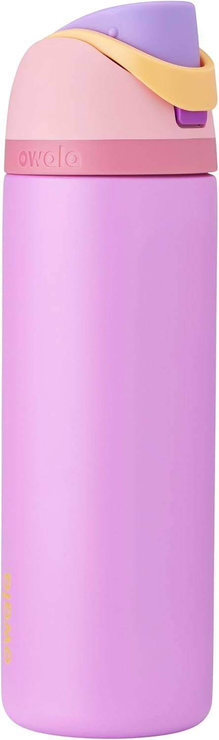 Owala Disney Princess Insulated Water Bottle With FreeSip Spout, 24 Oz