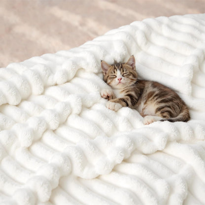 Soft Fleece Throw Blanket for Couch and Bed, Bedsure 50x60 Off White